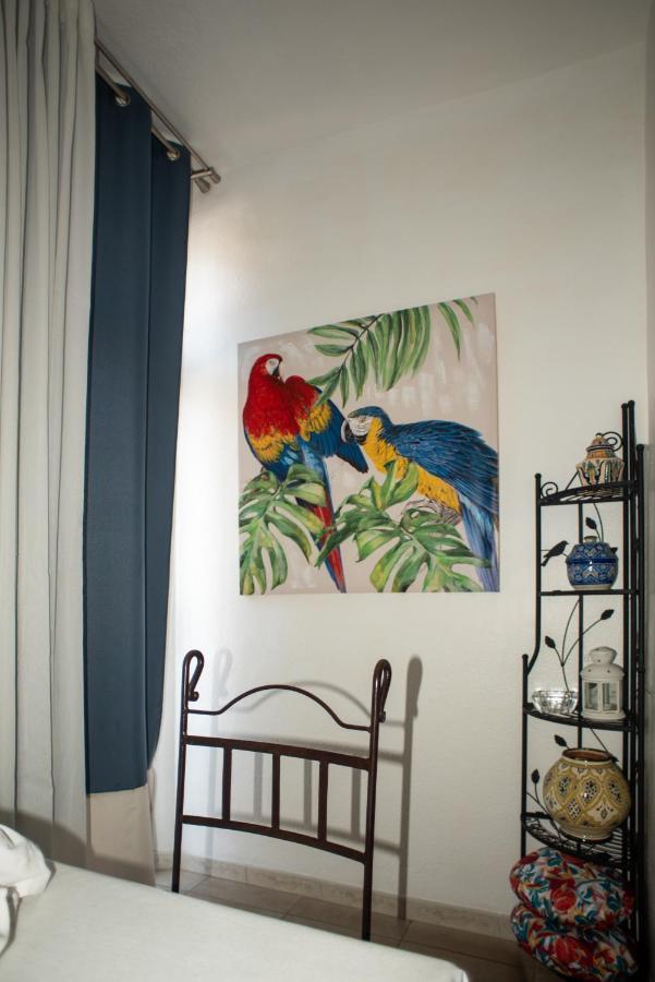 Studio Central Canet-en-Roussillon Dış mekan fotoğraf