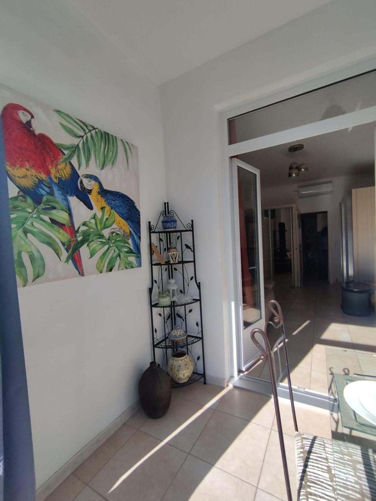 Studio Central Canet-en-Roussillon Dış mekan fotoğraf
